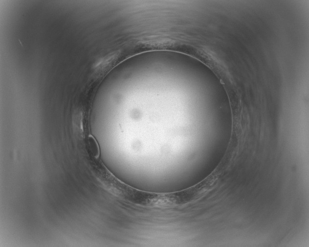 X0000053110115200507251707