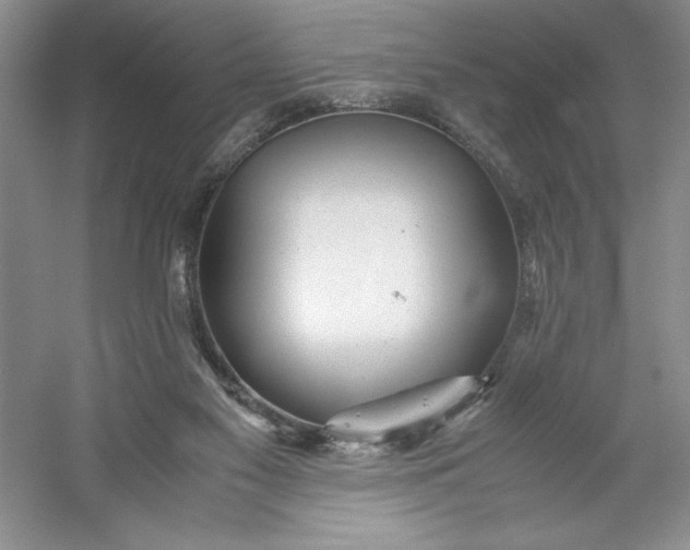 X0000053110117200507251707