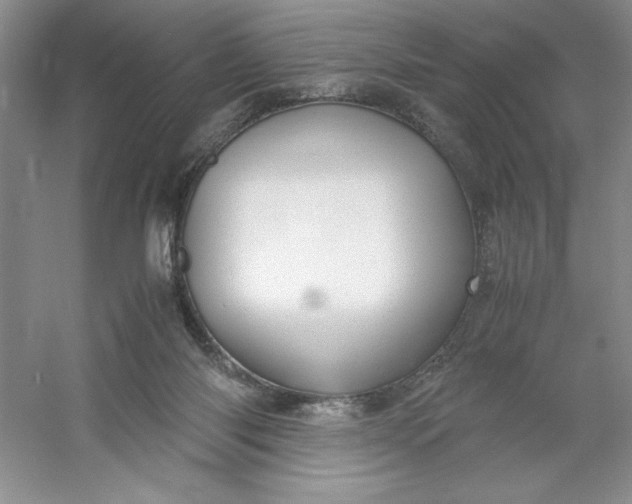 X0000053110118200507251707