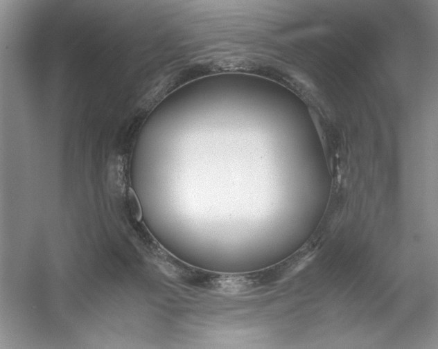 X0000053110121200507251707