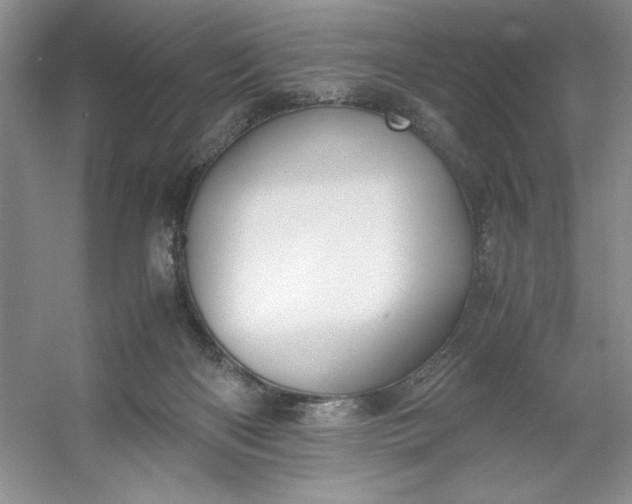 X0000053110122200507251707