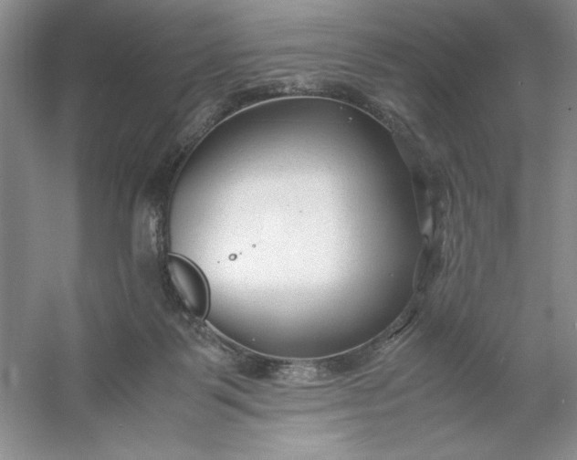 X0000053110123200507251707