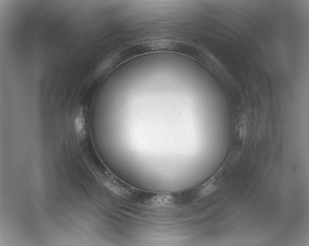 X0000053110124200507251707