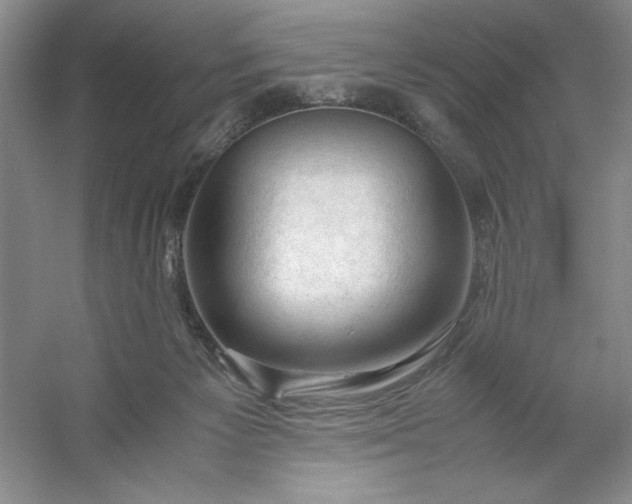 X0000053110125200507251707