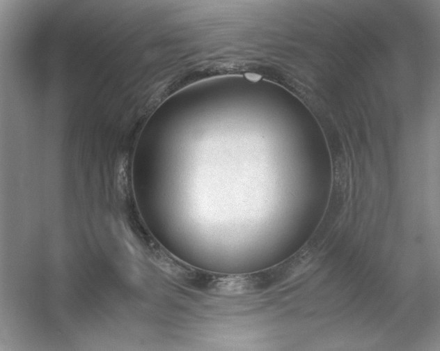 X0000053110127200507251707