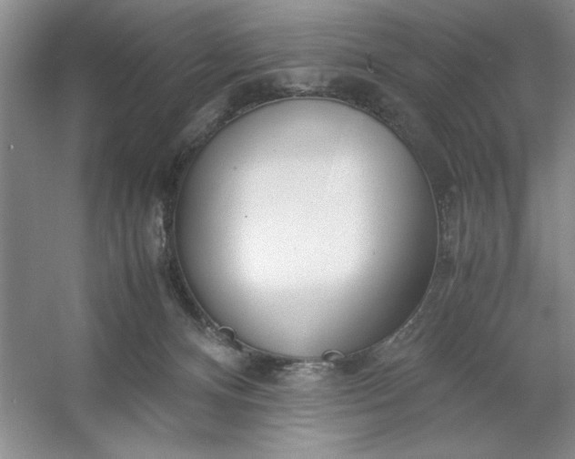 X0000053110128200507251707