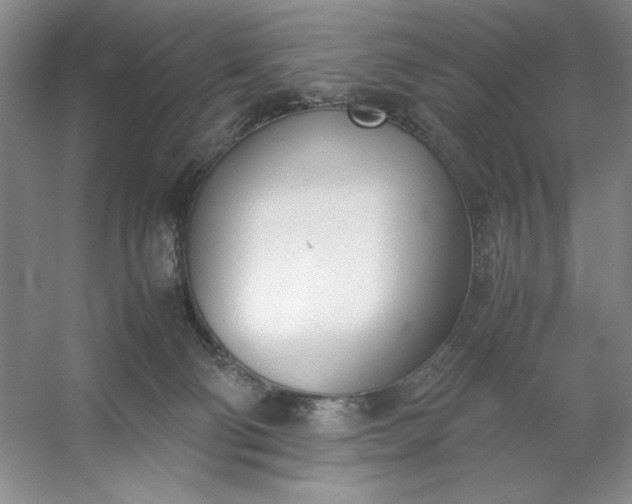 X0000053110130200507251707