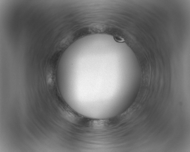 X0000053110134200507251707