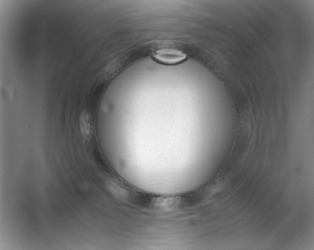 X0000053110135200507251707