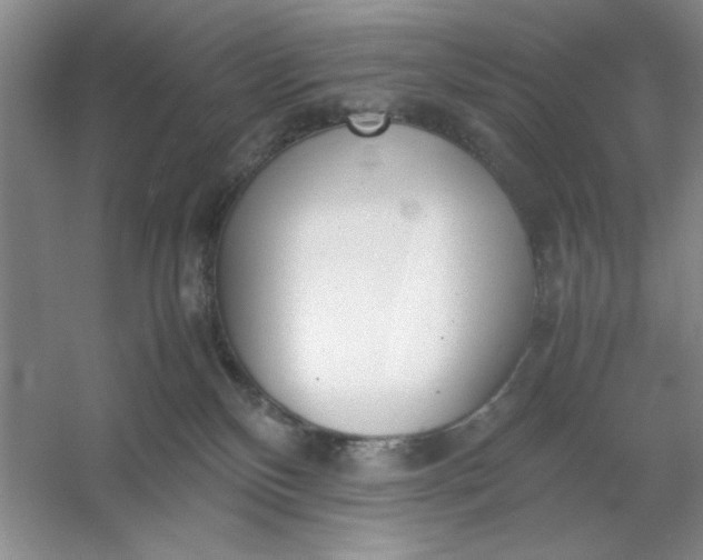 X0000053110136200507251707