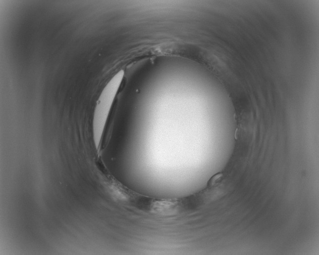 X0000053110139200507251707