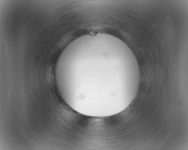 X0000053110140200507251707