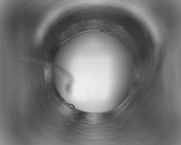 X0000053110142200507251707