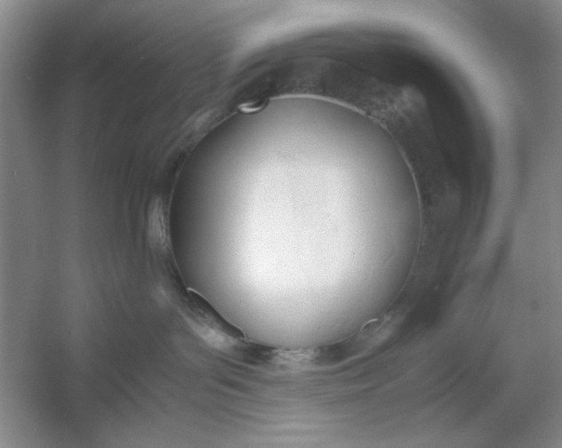 X0000053110143200507251707