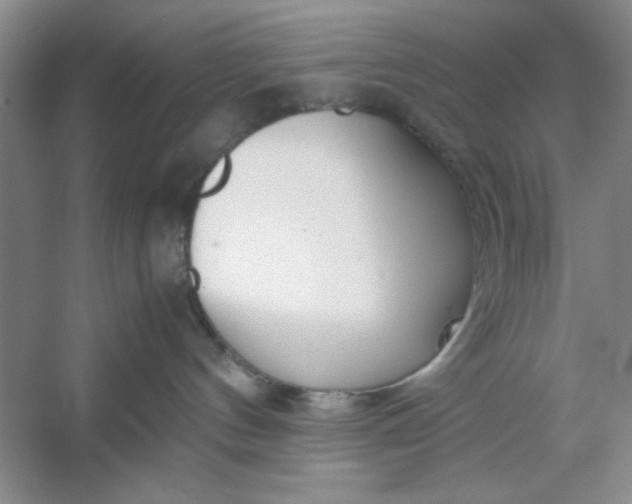 X0000053110144200507251707