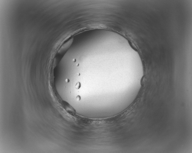 X0000053110145200507251706