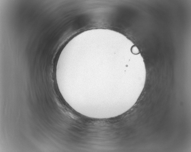 X0000053110146200507251706