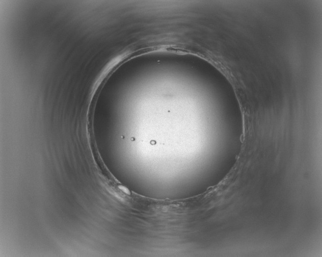 X0000053110147200507251706