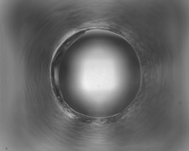 X0000053110148200507251706