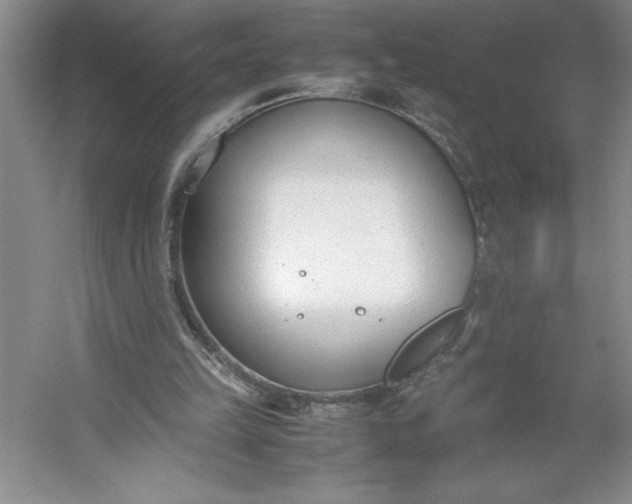 X0000053110149200507251706