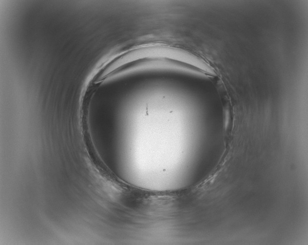 X0000053110150200507251706