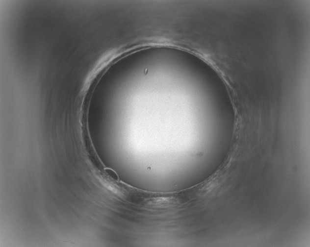 X0000053110151200507251706