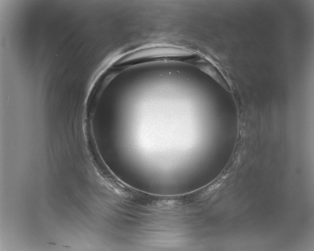 X0000053110152200507251706