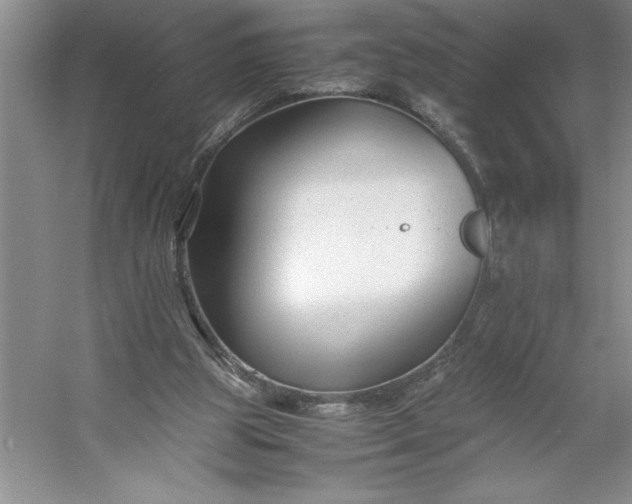 X0000053110153200507251706