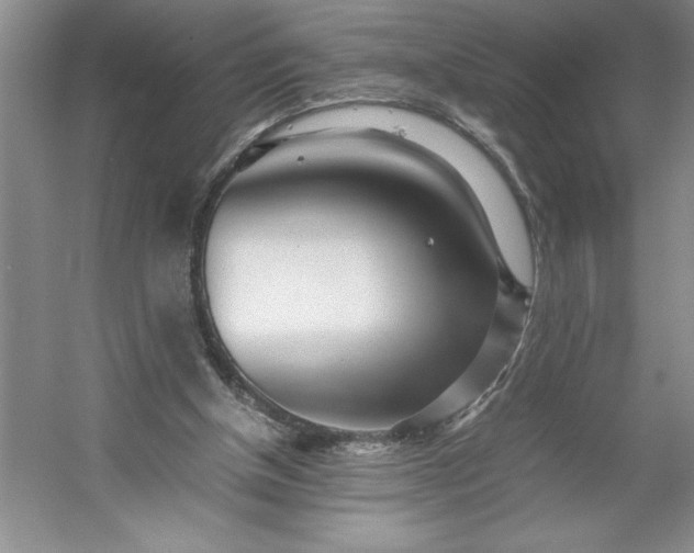 X0000053110154200507251706