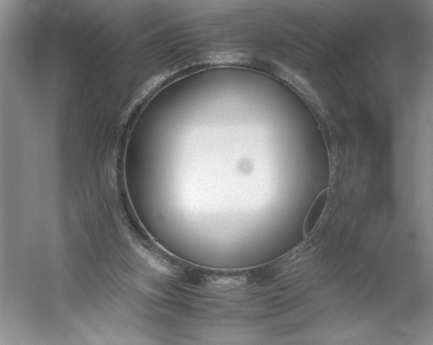 X0000053110155200507251706