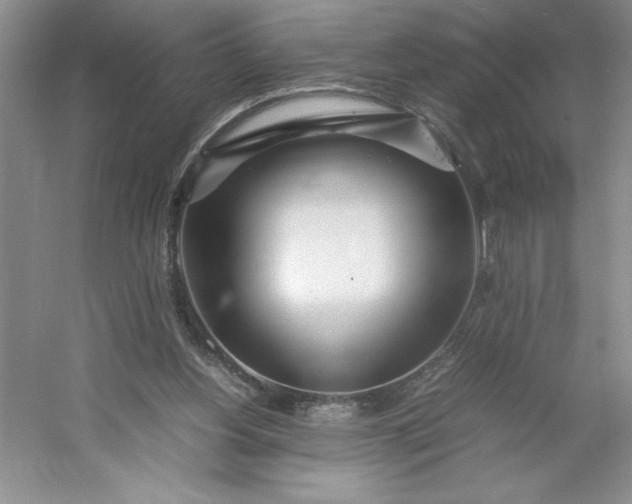 X0000053110156200507251706