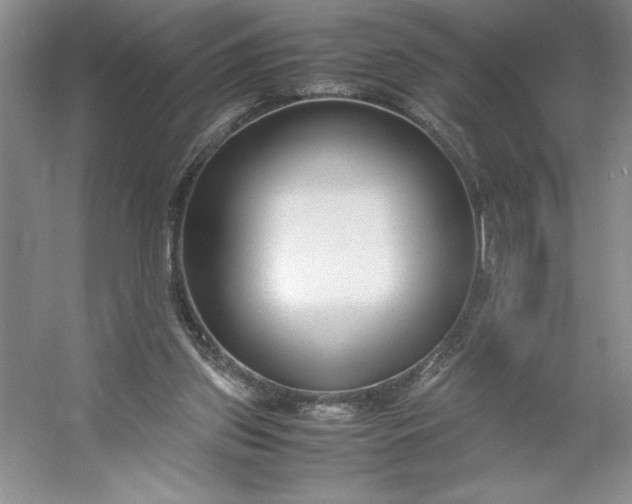 X0000053110157200507251706