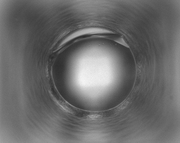 X0000053110158200507251706