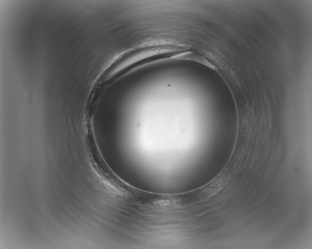 X0000053110160200507251706