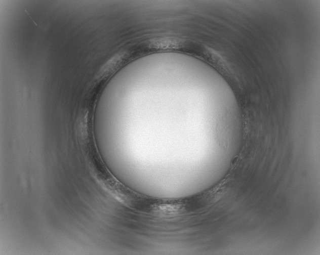 X0000053110163200507251706