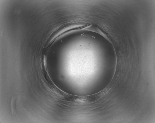 X0000053110164200507251706