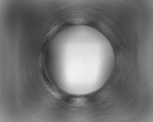 X0000053110165200507251706