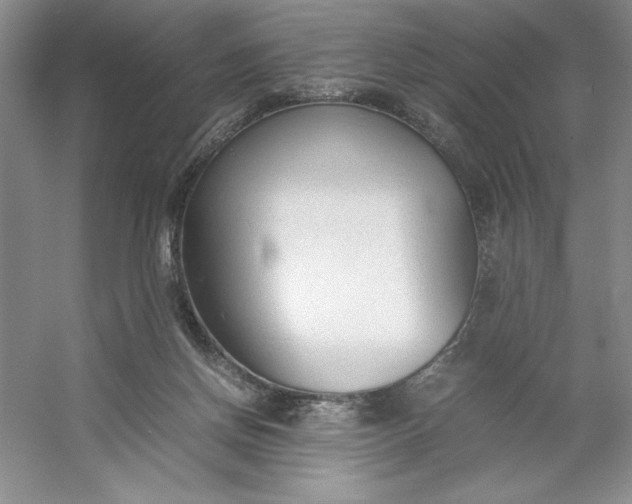 X0000053110166200507251706