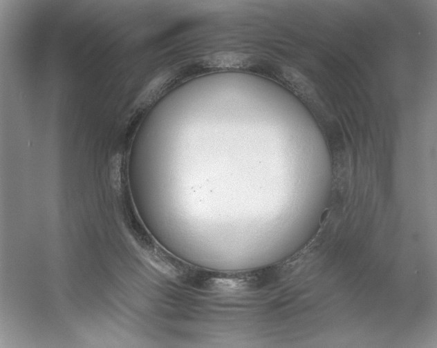 X0000053110167200507251706