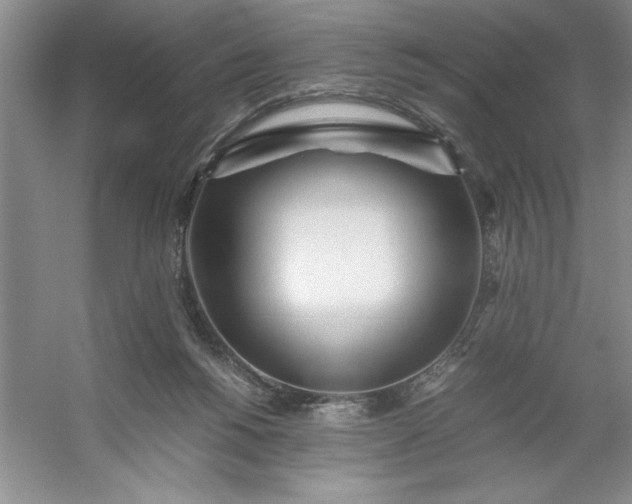 X0000053110168200507251706