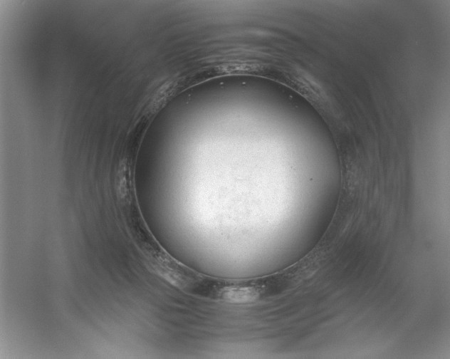 X0000053110169200507251706