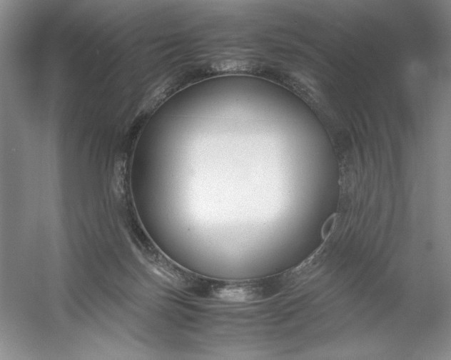 X0000053110171200507251706