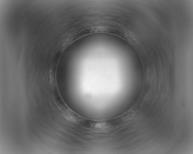 X0000053110173200507251706