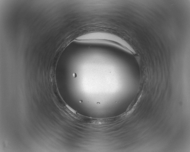 X0000053110174200507251706