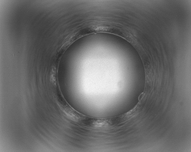 X0000053110175200507251706