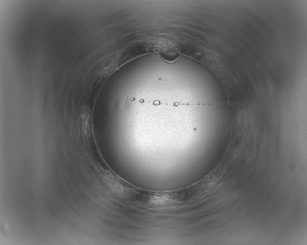 X0000053110177200507251706