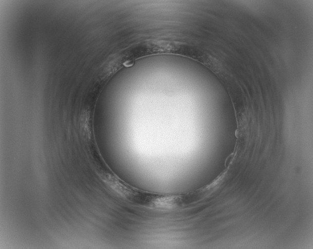 X0000053110178200507251706