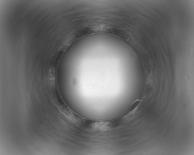 X0000053110179200507251706