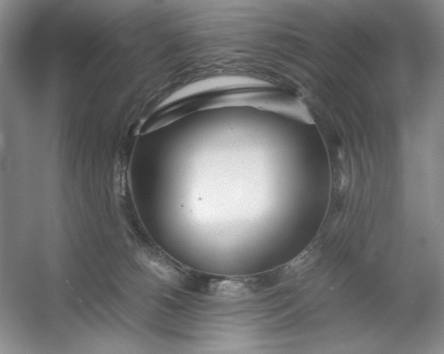 X0000053110180200507251706