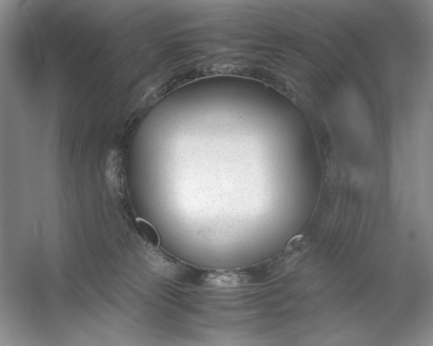 X0000053110181200507251706